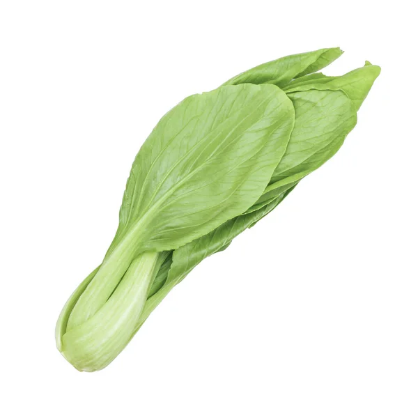 Bok Choy Grönsaker Isolerad Vit Bakgrund — Stockfoto