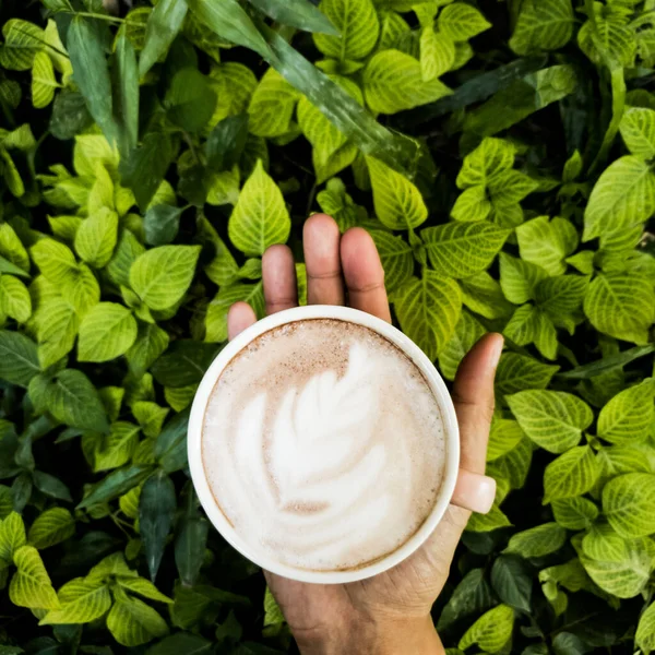 Tasse Kaffee Latte Art Auf Frauenhand Mit Grünen Blättern Natur — Stockfoto