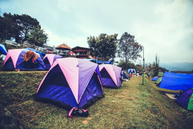 Tayland 'ın Doi Sureya, Doi Inthanon, ChiangMai dağlarında kamp yapan bir turist. Sabahları sisli olur.