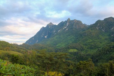 Chiang Dao Eyaleti 'ndeki Doi Luang Dağı' nın doğal panoraması Tayland 'ın en yüksek dağıdır.