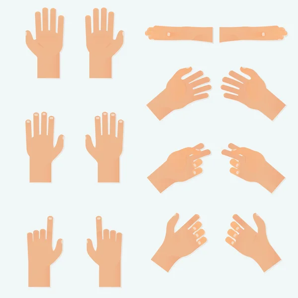 Set of realistic hands — Stock Vector