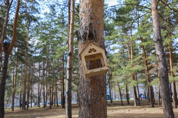 市内公園の松の木に鳥のフィーダー 家の形をしたフィーダー — ストック写真