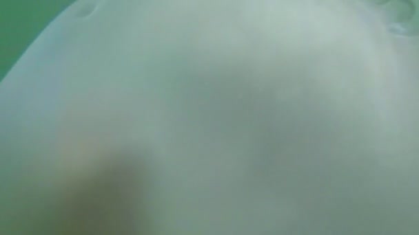 クラ ゲのクラ ゲのクローズ アップはゆっくりと海の水に浮かぶクラゲを太陽の水光に浮かぶ毒クラ ゲの下に隠れてフライ — ストック動画