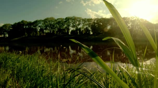 Světlovlasý dcera farmáře splétá věnce ze slámy — Stock video