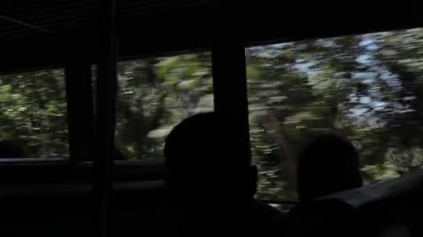 Riding on the bus through the tea plantations in Munnar , Kerala, India. — Stock Video