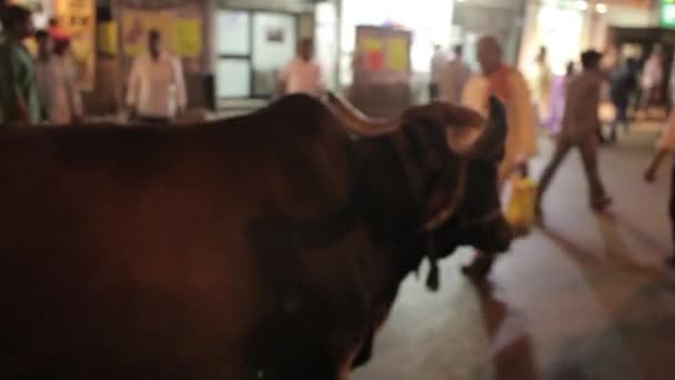 Indians on the streets of Mumbai, India. — Stock Video