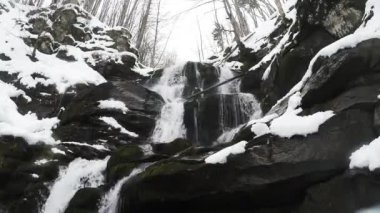 dağ ormanları ve şelaleler karda