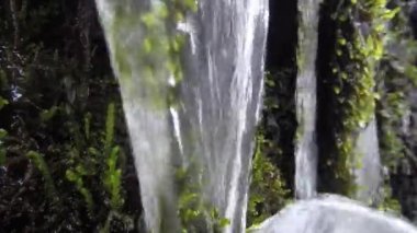 dağ ormanları ve şelaleler karda