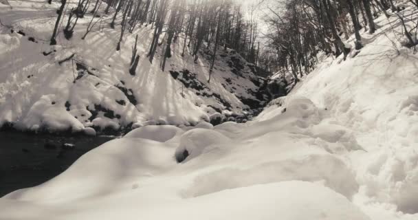 山地森林和瀑布在雪中 — 图库视频影像