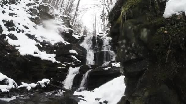 Forêts de montagne et cascades dans la neige — Video