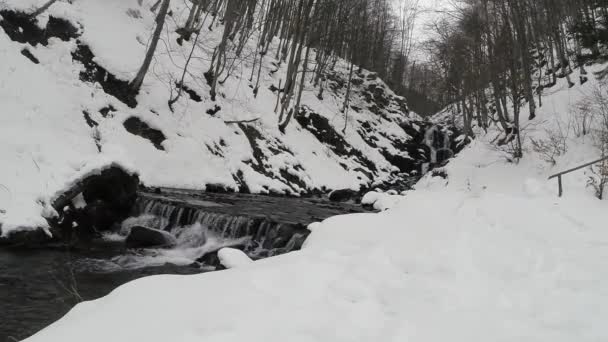 Bergwälder und Wasserfälle im Schnee — Stockvideo