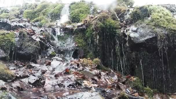 Boschi di montagna e cascate nella neve — Video Stock