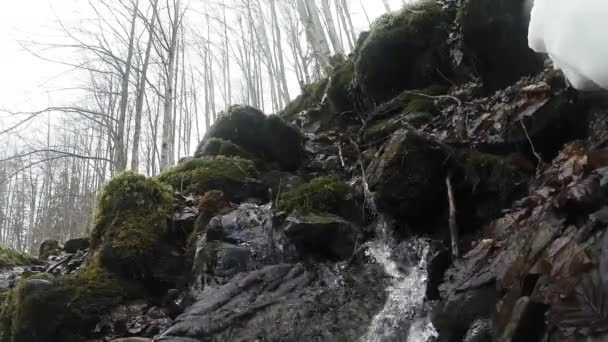 Forêts de montagne et cascades dans la neige — Video