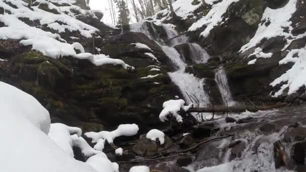 Ορεινά δάση και καταρράκτες στο χιόνι — Αρχείο Βίντεο