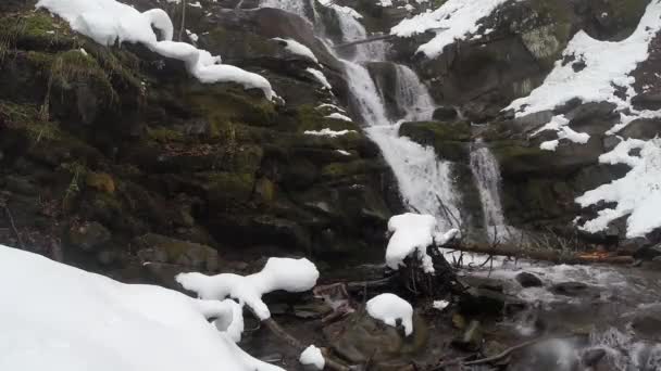 Boschi di montagna e cascate nella neve — Video Stock