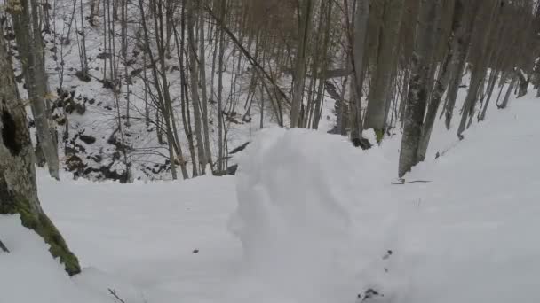 Florestas de montanha e cachoeiras na neve — Vídeo de Stock