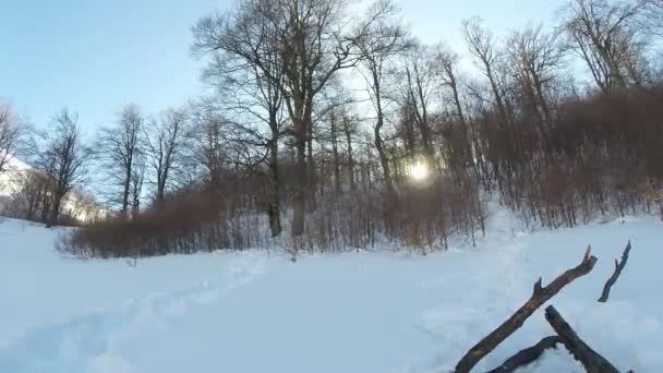 Boschi di montagna e cascate nella neve — Video Stock