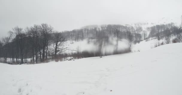 Bergwälder und Wasserfälle im Schnee — Stockvideo