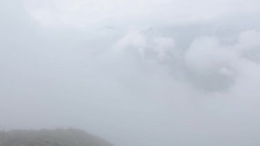 Landscapes in Munnar, Kerala, India