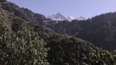 Dağ manzaraları Dharamsala, Himachal Pradesh, Hindistan