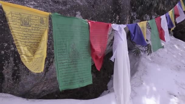 Bergslandskap i Dharamsala, Himachal Pradesh, Indien — Stockvideo