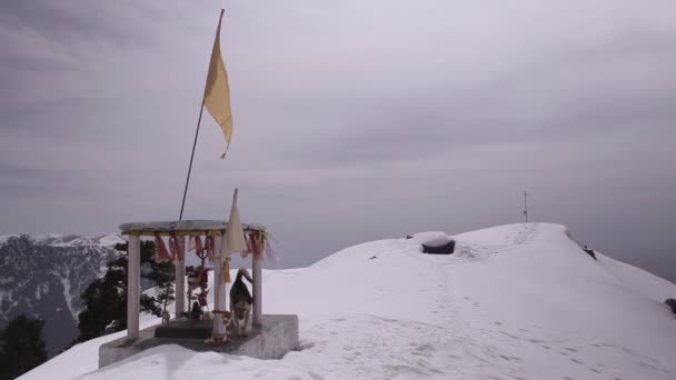 Ορεινά τοπία στην Νταραμσάλα, Himachal Pradesh, Ινδία — Αρχείο Βίντεο