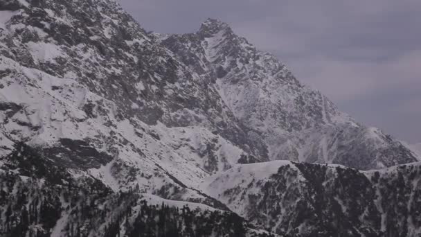 Paisajes de montaña en Dharamsala, Himachal Pradesh, India — Vídeos de Stock