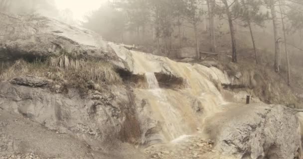 Μικρούς καταρράκτες και ροή του νερού πάνω στα βράχια στην ομίχλη σε ένα ορεινό δάσος — Αρχείο Βίντεο