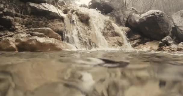 Cono de pino flota bajo el agua cerca de una cascada de montaña — Vídeos de Stock