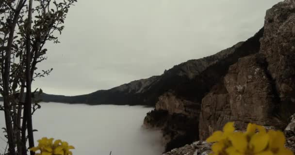 Mist als de zee wast over rotsen en kliffen, bewolkte hemel en gele bloemen — Stockvideo