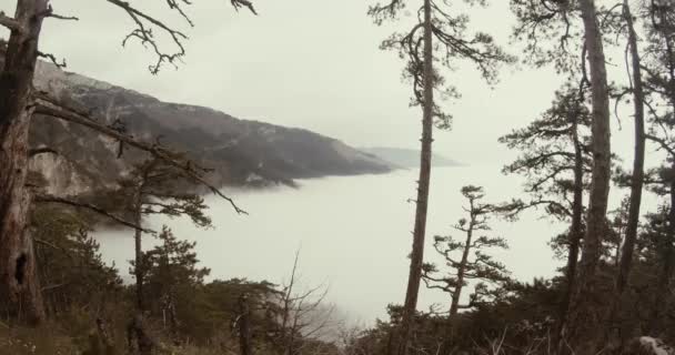 Dal bordo della foresta di montagna è visto come una grande nube di montagne avvolte dalla nebbia — Video Stock