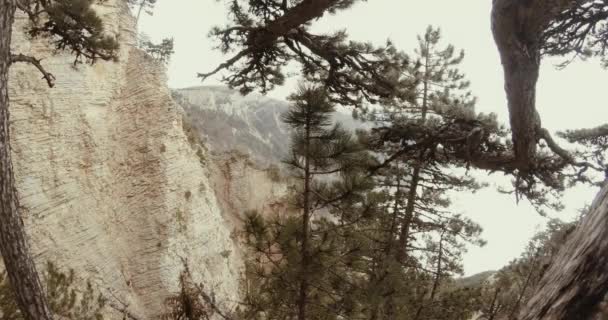 Through the branches of pine trees visible beige cliffs and fog down in the mountains — Stock Video