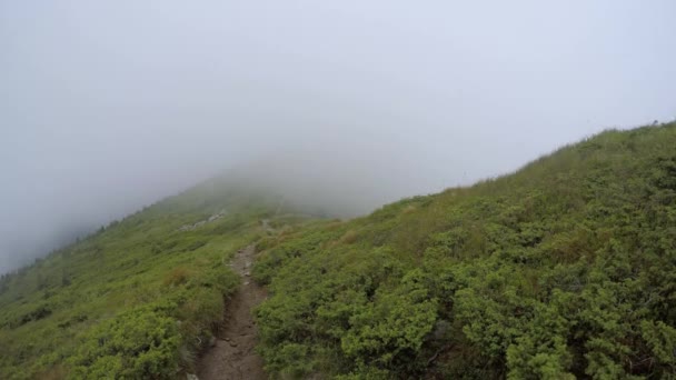 游戏中时光倒流山风景 — 图库视频影像