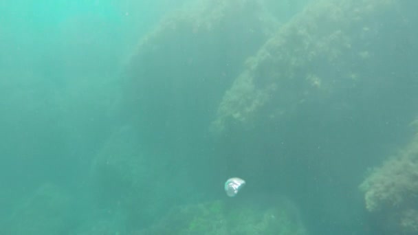 Burbujas de aire bajo el agua — Vídeo de stock