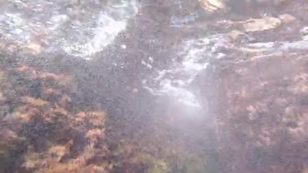 Бульбашки повітря під водою — стокове відео