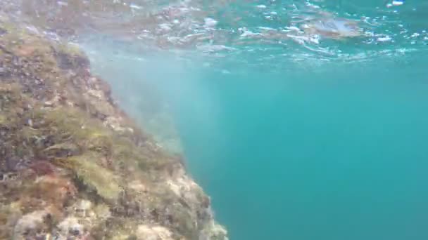 Burbujas de aire bajo el agua — Vídeo de stock