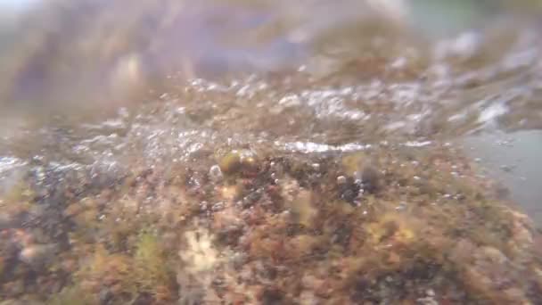 Пузырьки воздуха под водой — стоковое видео