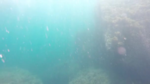 Maneter under vatten — Stockvideo
