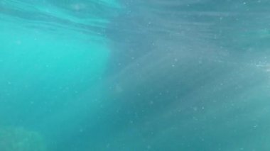 Su, yavaş hareket altında kadın