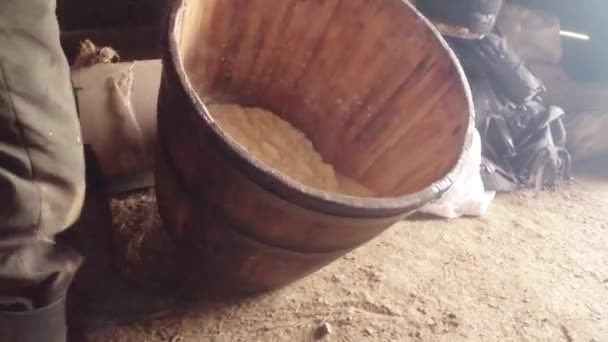 Bauer hölzerne Fassrollen mit Käse in der unteren Etage seines Hauses auf — Stockvideo