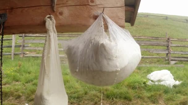 Grand morceau de fromage suspendu dans une étamine pour la déshydratation tradition montagnarde — Video