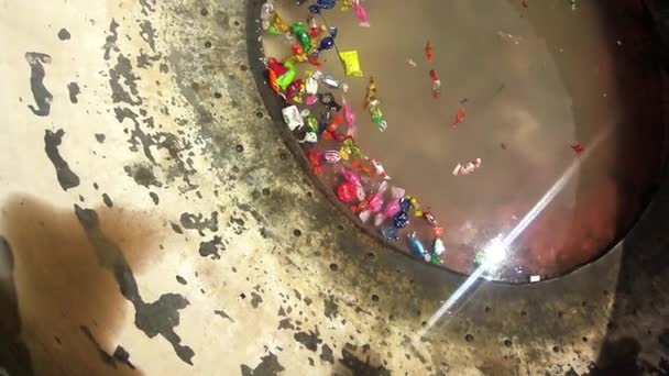 Prière chan énorme bol en métal avec de l'eau pour les offrandes dans le bouddhisme gros plan du soleil se reflète bonbons croustillants aux pommes Erdene Zuu monastère bouddhiste - l'un des plus anciens monuments de Mongolie — Video
