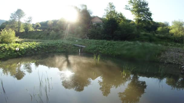 Morning sun, mountain artificial pond trout, mountain cabin — Stock Video