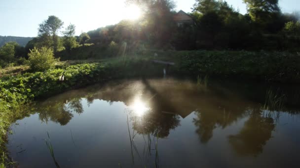 Morning sun, mountain artificial pond trout, mountain cabin — Stock Video