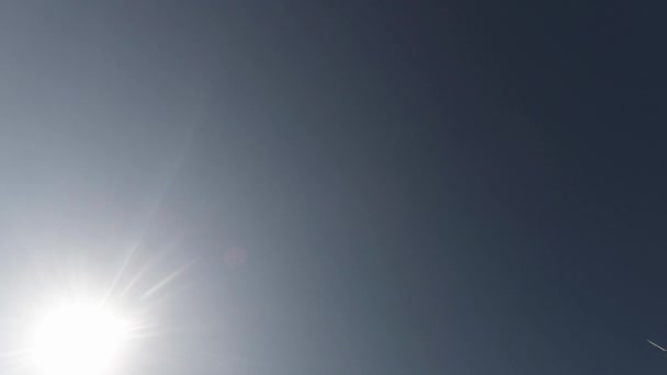 Gabbiani che volano contro il cielo blu e la vista del sole dal basso — Video Stock