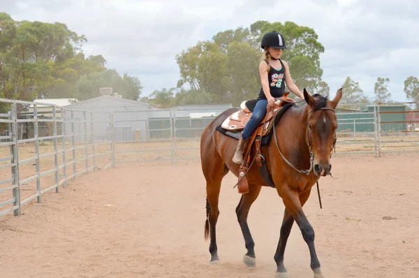 Chica equitación caballo Fotos de stock