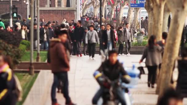 Zeitlupe des belebten Straßenverkehrs in Shanghai — Stockvideo