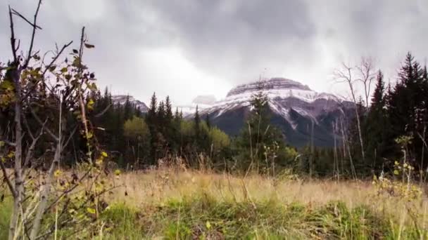 Nuages en mouvement au sommet de la montagne — Video