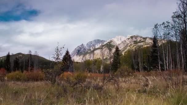 モーション ドリー ショット曇り空の午後のバンフ国立公園 — ストック動画