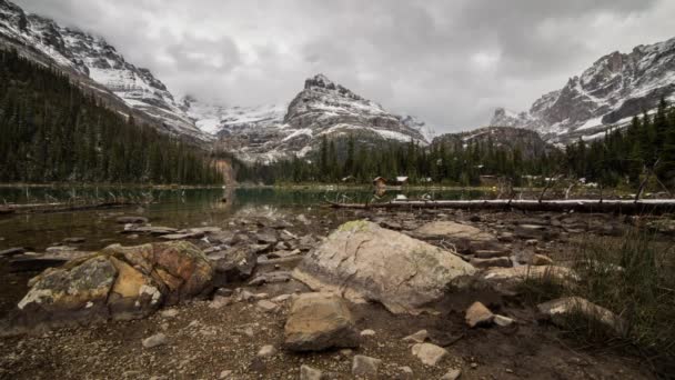 Lake O'Hara evening — Stock Video